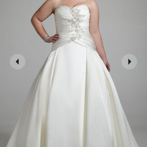 Plus Size Oleg Cassini Ballgown - Picture 1 of 4